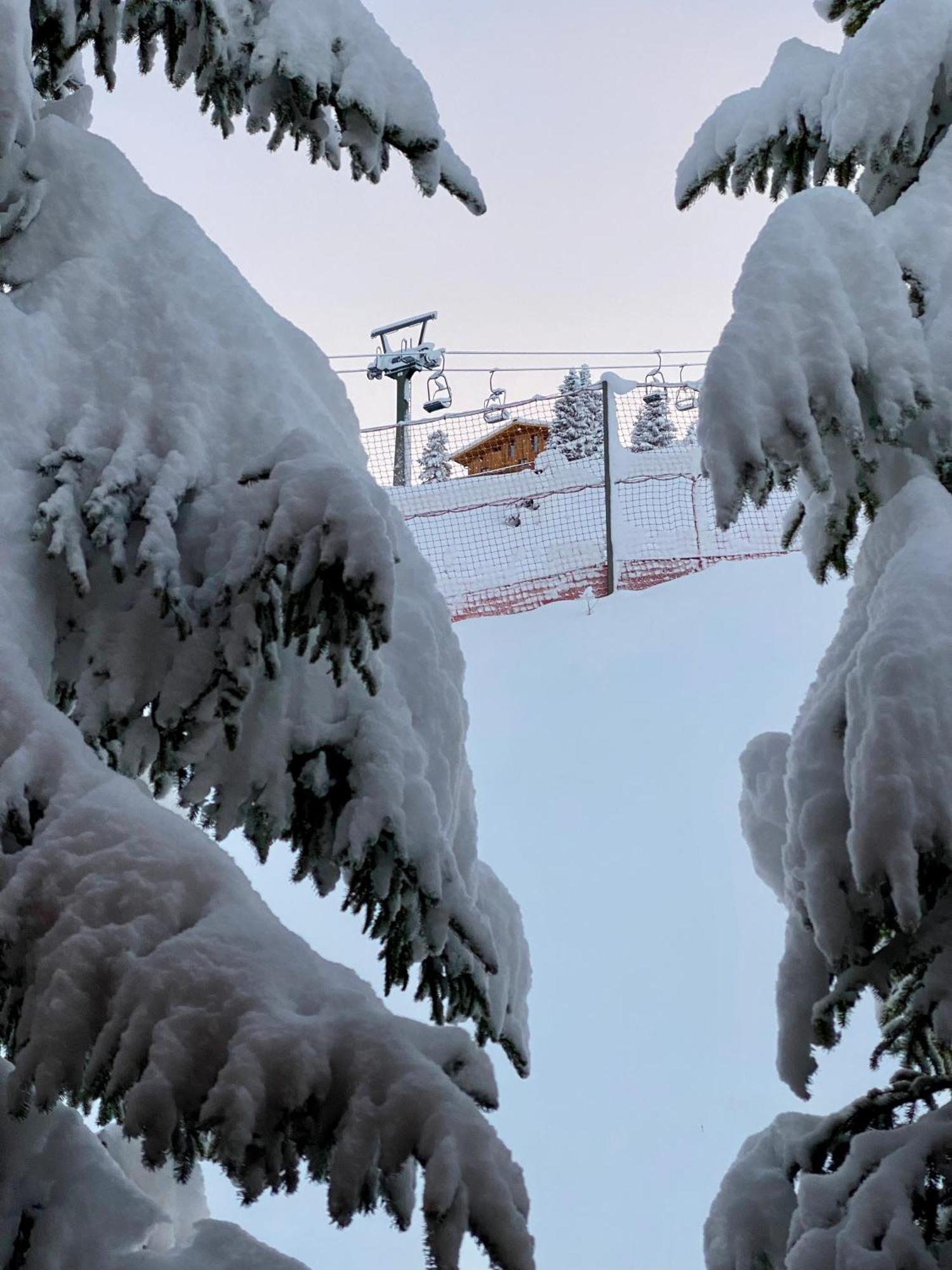 Naturhaus Loacker Lech am Arlberg Eksteriør billede
