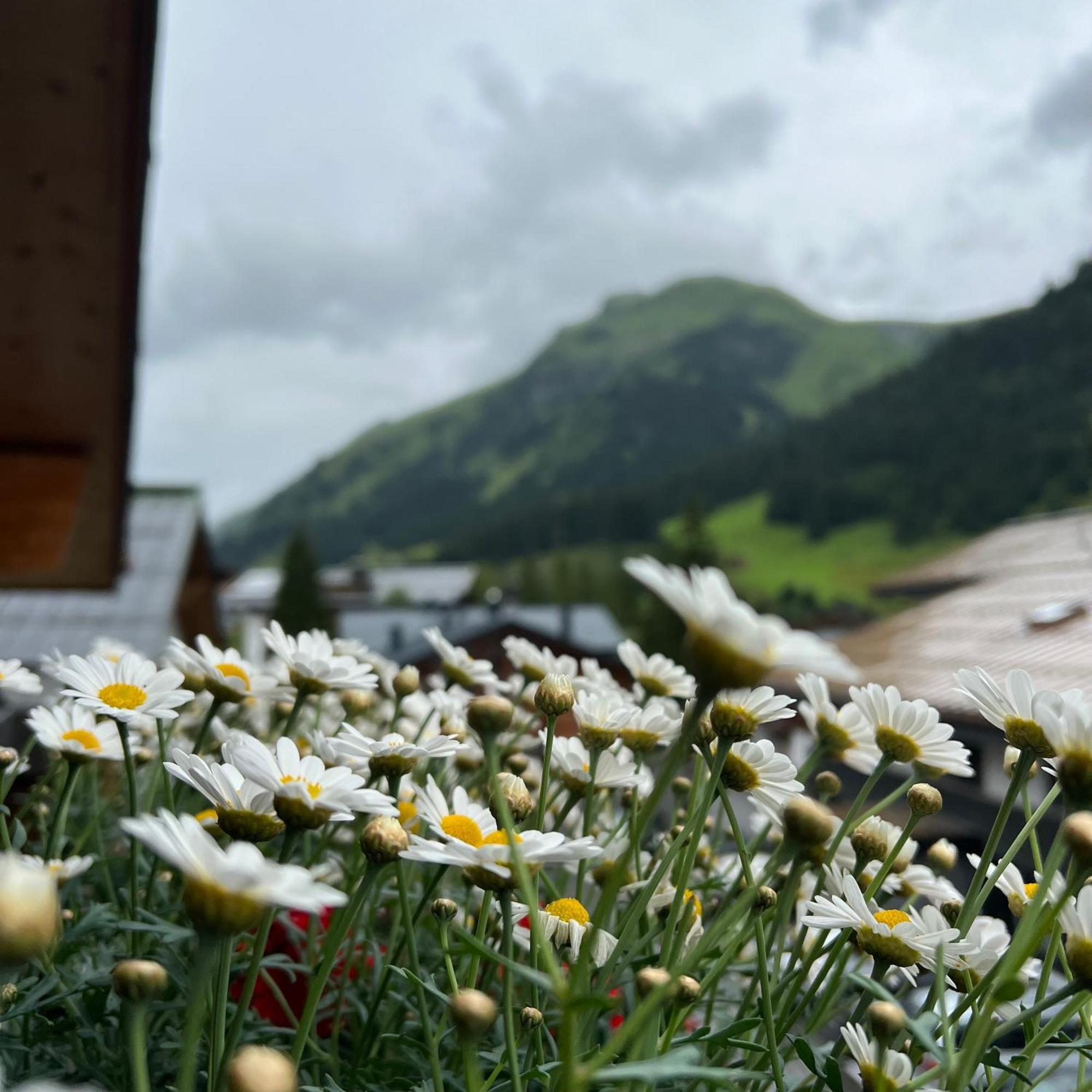 Naturhaus Loacker Lech am Arlberg Eksteriør billede